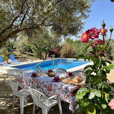 Refugio Andaluz Con Piscina Entre Olivos Villanueva de Tapia Dış mekan fotoğraf