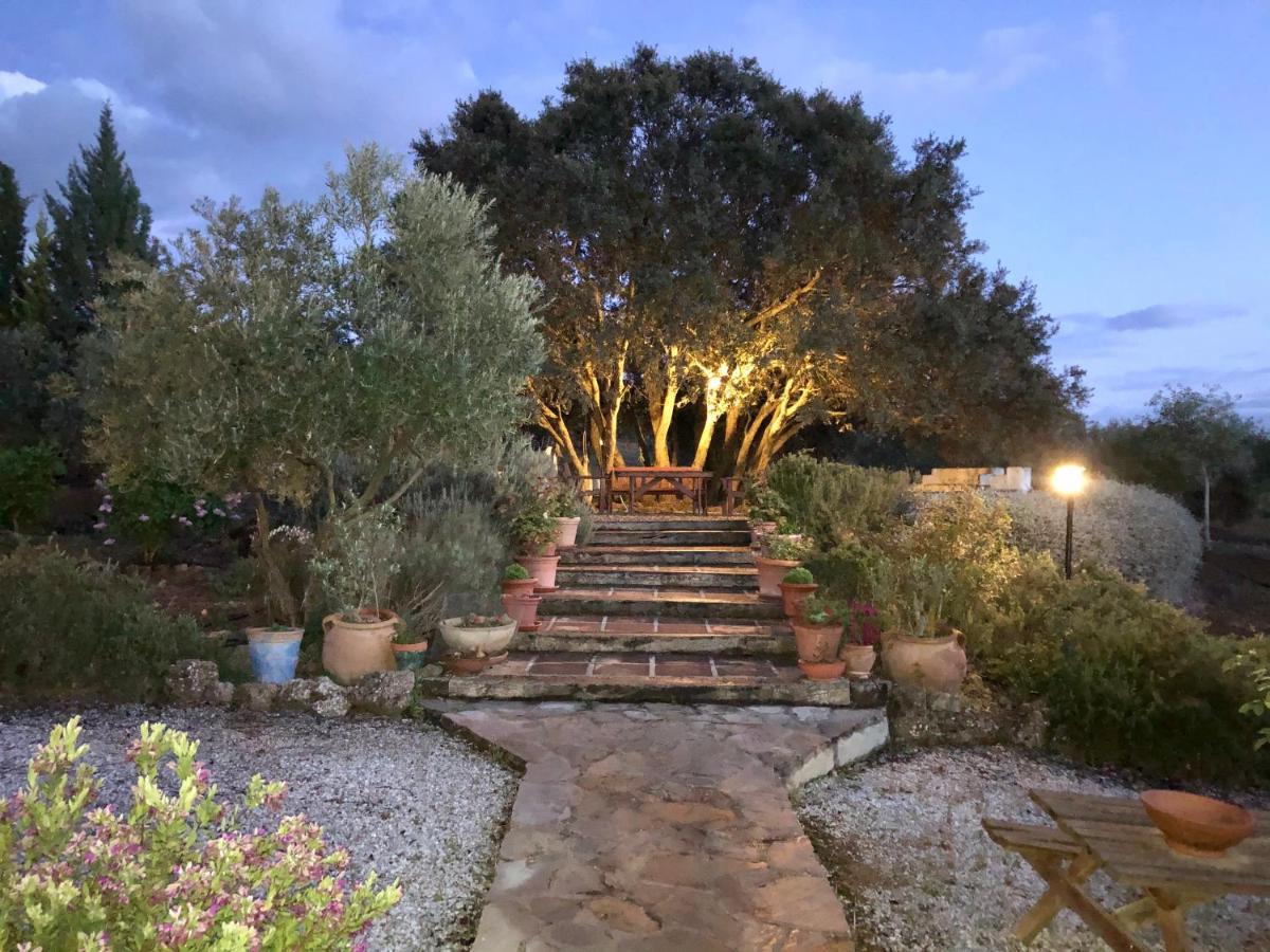 Refugio Andaluz Con Piscina Entre Olivos Villanueva de Tapia Dış mekan fotoğraf