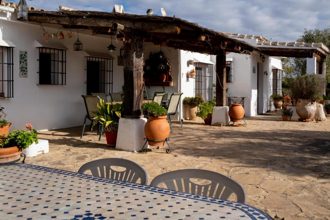 Refugio Andaluz Con Piscina Entre Olivos Villanueva de Tapia Dış mekan fotoğraf