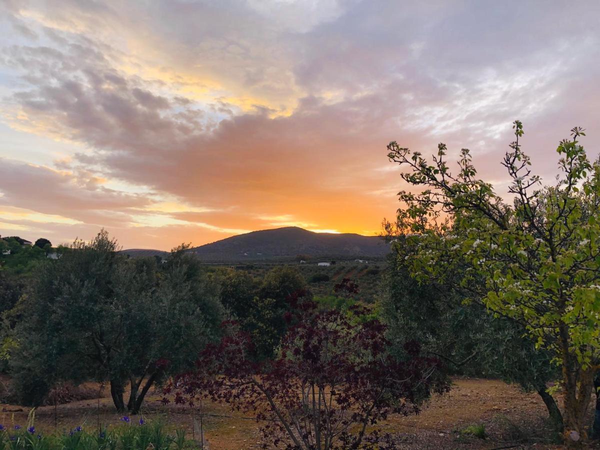 Refugio Andaluz Con Piscina Entre Olivos Villanueva de Tapia Dış mekan fotoğraf
