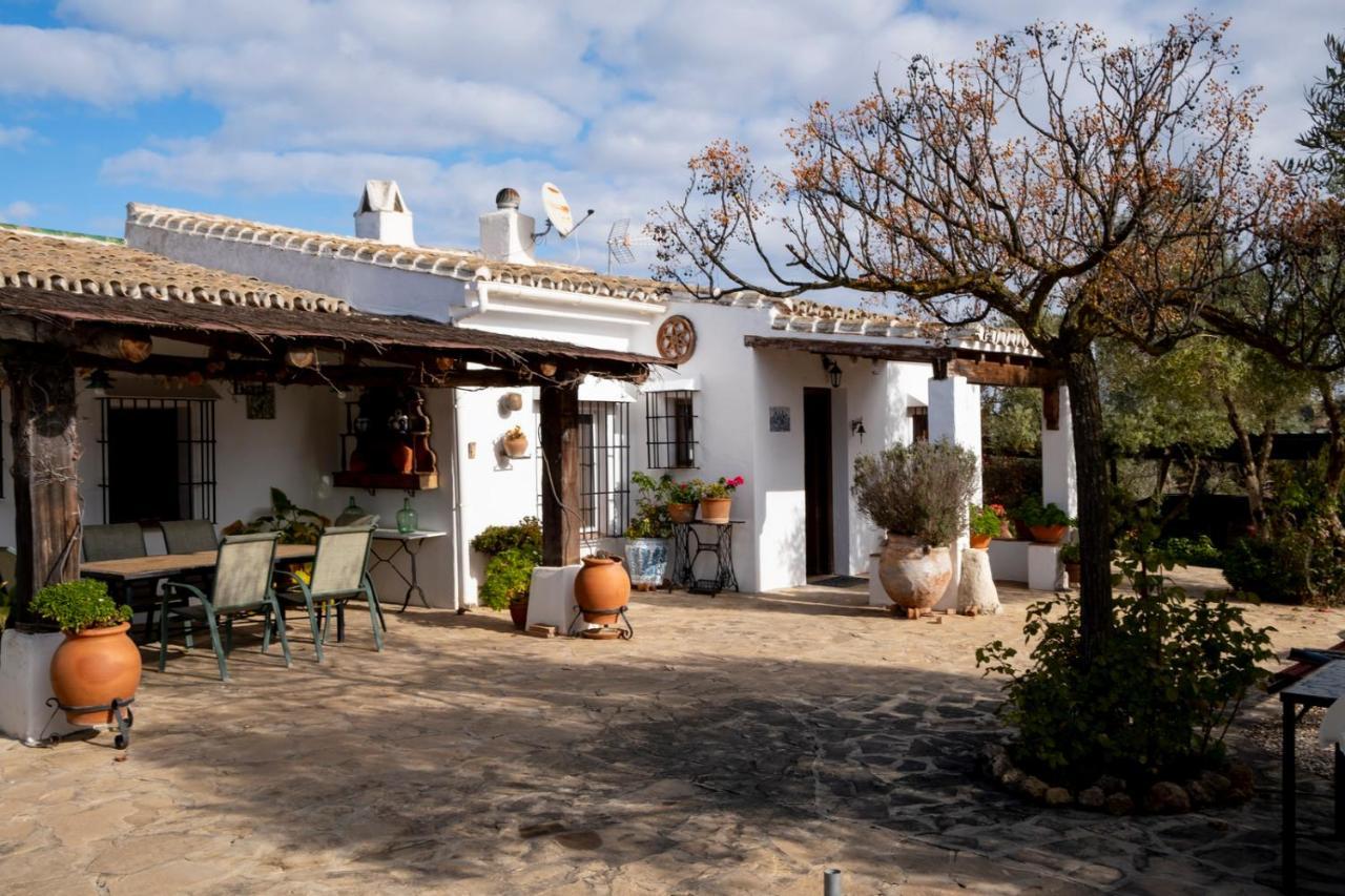 Refugio Andaluz Con Piscina Entre Olivos Villanueva de Tapia Dış mekan fotoğraf