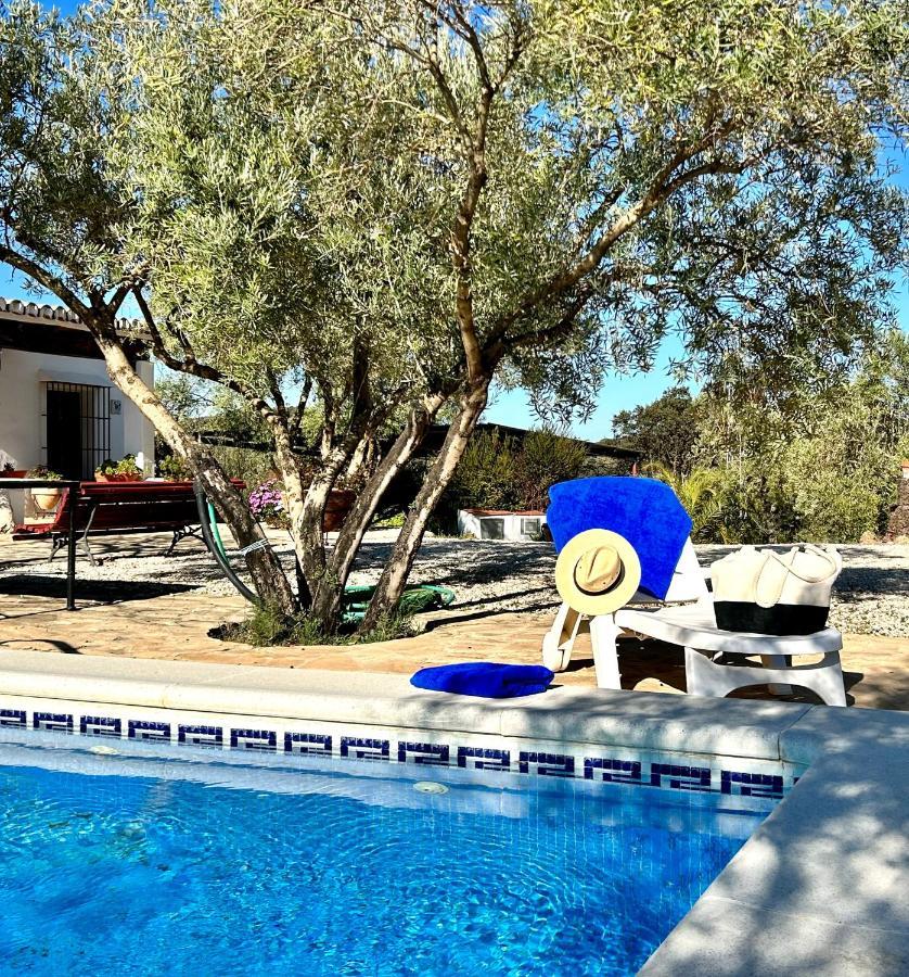 Refugio Andaluz Con Piscina Entre Olivos Villanueva de Tapia Dış mekan fotoğraf
