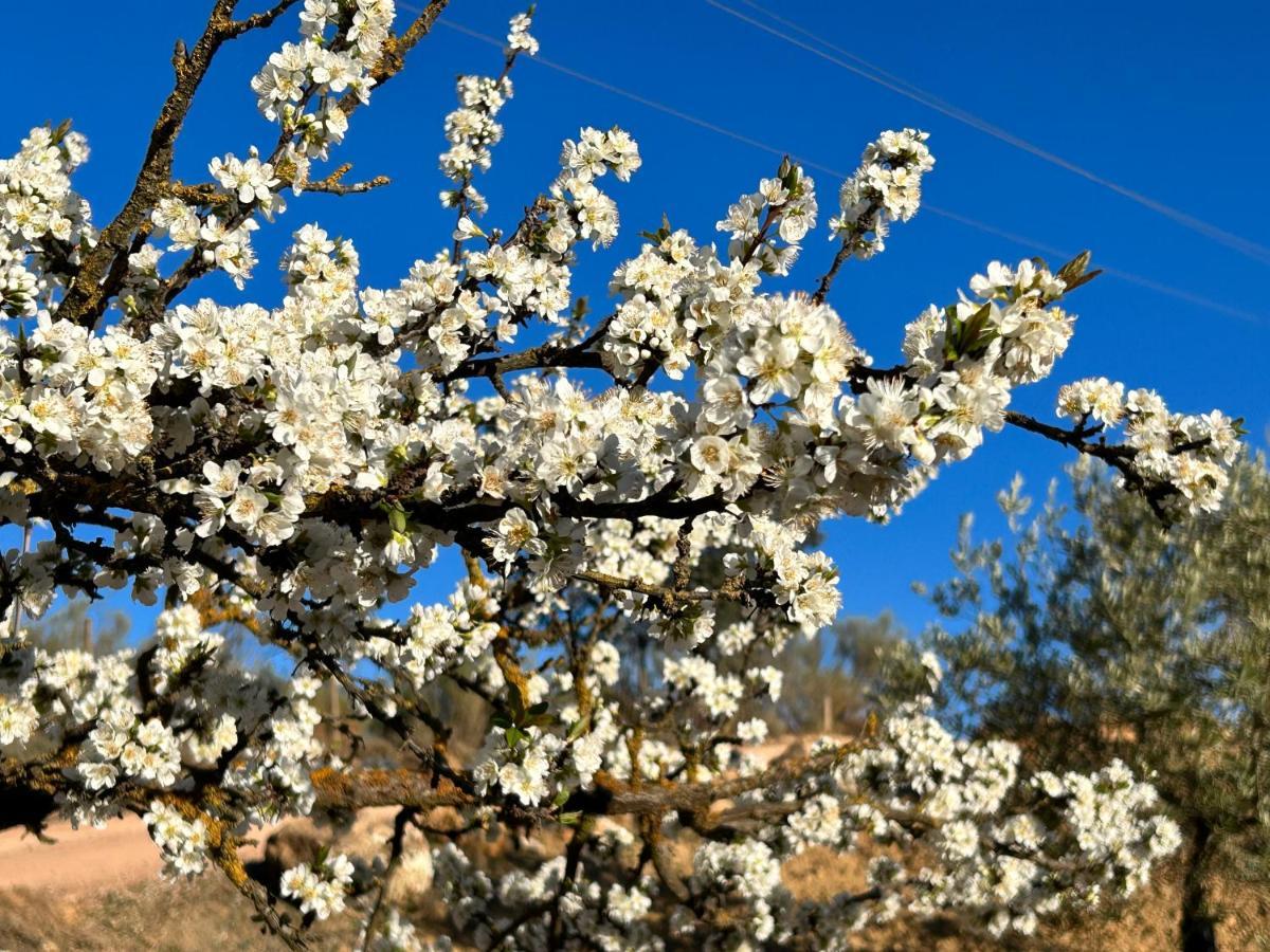 Refugio Andaluz Con Piscina Entre Olivos Villanueva de Tapia Dış mekan fotoğraf