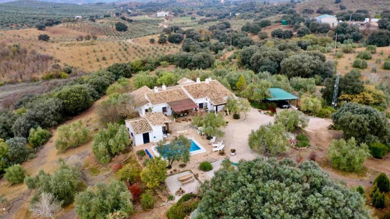 Refugio Andaluz Con Piscina Entre Olivos Villanueva de Tapia Dış mekan fotoğraf