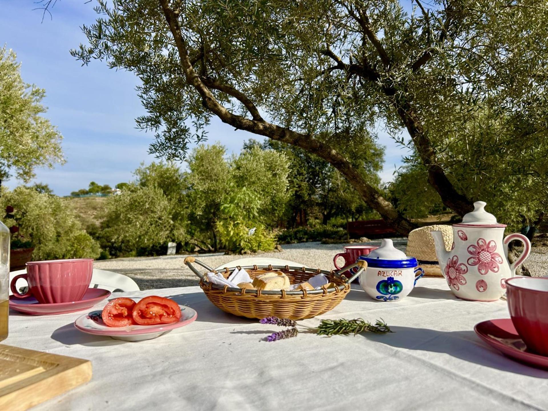 Refugio Andaluz Con Piscina Entre Olivos Villanueva de Tapia Dış mekan fotoğraf