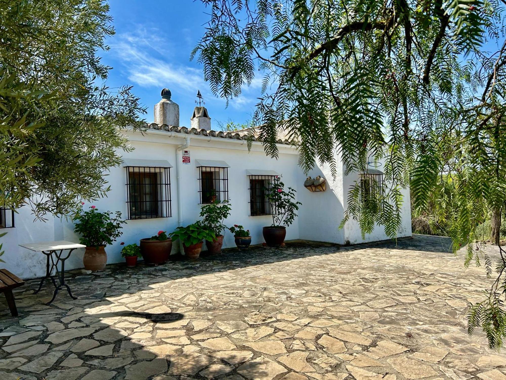 Refugio Andaluz Con Piscina Entre Olivos Villanueva de Tapia Dış mekan fotoğraf
