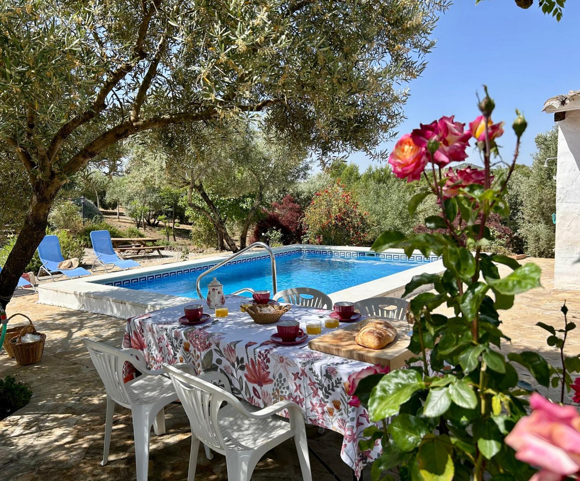 Refugio Andaluz Con Piscina Entre Olivos Villanueva de Tapia Dış mekan fotoğraf