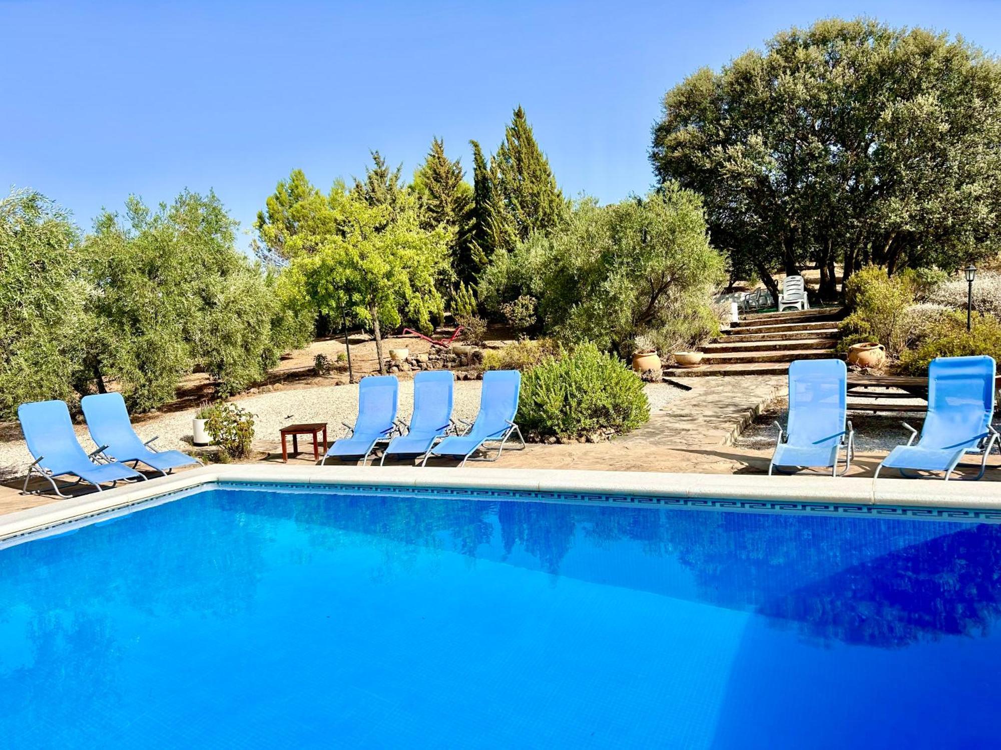 Refugio Andaluz Con Piscina Entre Olivos Villanueva de Tapia Dış mekan fotoğraf